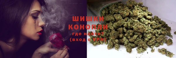 гидра Киреевск