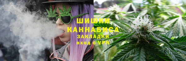крисы Кинешма